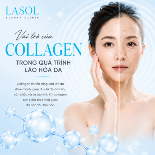 Vai trò của collagen trong quá trình lão hóa da: Điều gì thực sự xảy ra dưới bề mặt da?